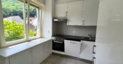Appartamento 4.5 in palazzina di due unità abitative
